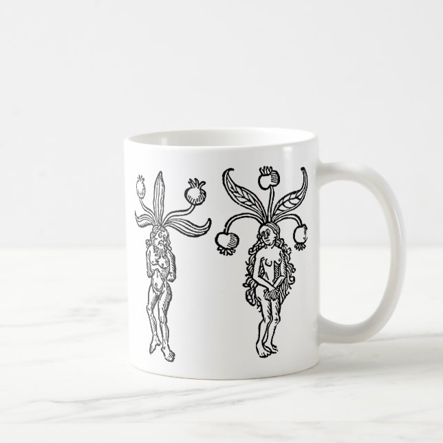 Botany: Mandrake, 1476 Coffee Mug (Right)