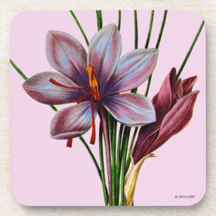 Botany: Saffron Coaster