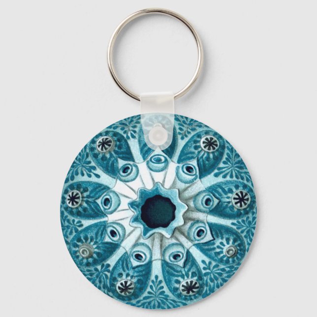 Botryllus Polycyclus Ernst Haeckel Fine Art Key Ring (Front)