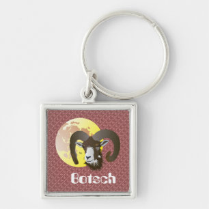 Botsch 21 mars fin 20 avrigl Portaclavs Key Ring