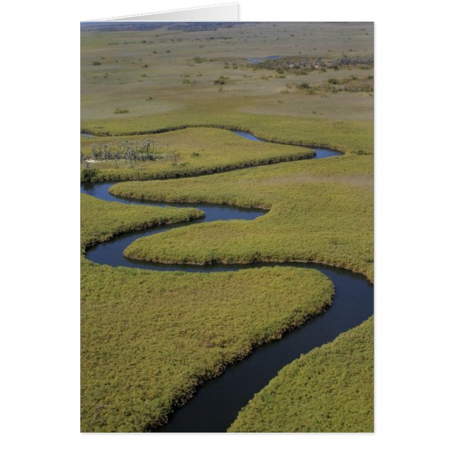 Botswana, Africa. Arial view Okavango river. (Front)