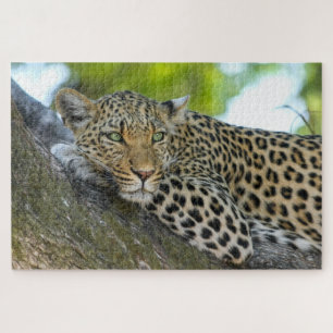 Botswana African Leopard Jigsaw Puzzle