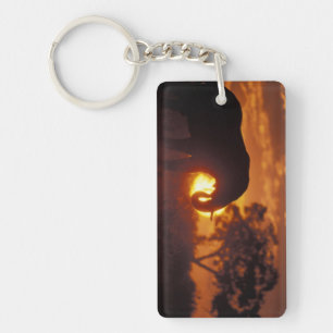 Botswana, Chobe National Park, Bull Elephant Key Ring