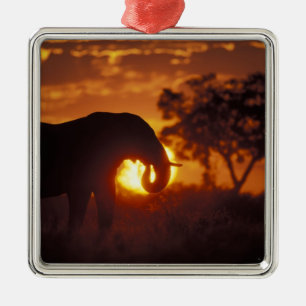 Botswana, Chobe National Park, Bull Elephant Metal Tree Decoration