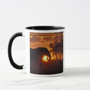 Botswana, Chobe National Park, Bull Elephant Mug
