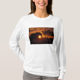 Botswana, Chobe National Park, Bull Elephant T-Shirt