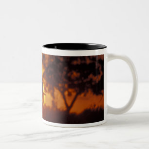 Botswana, Chobe National Park, Bull Elephant Two-Tone Coffee Mug