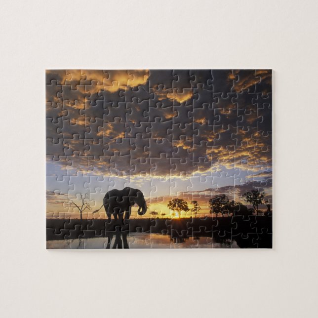 Botswana, Chobe National Park, Elephant Jigsaw Puzzle (Horizontal)