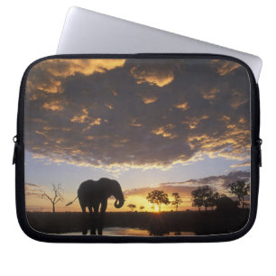Botswana, Chobe National Park, Elephant Laptop Sleeve