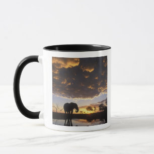 Botswana, Chobe National Park, Elephant Mug