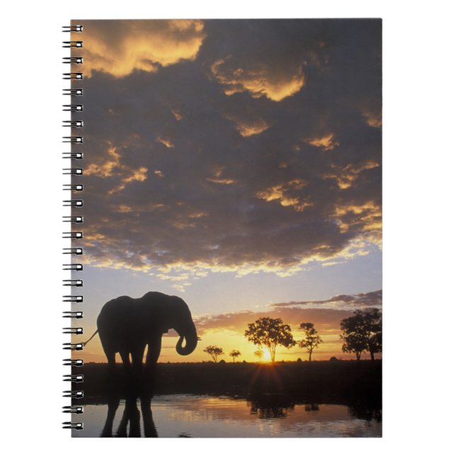Botswana, Chobe National Park, Elephant Notebook (Front)