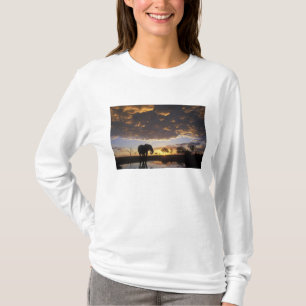 Botswana, Chobe National Park, Elephant T-Shirt