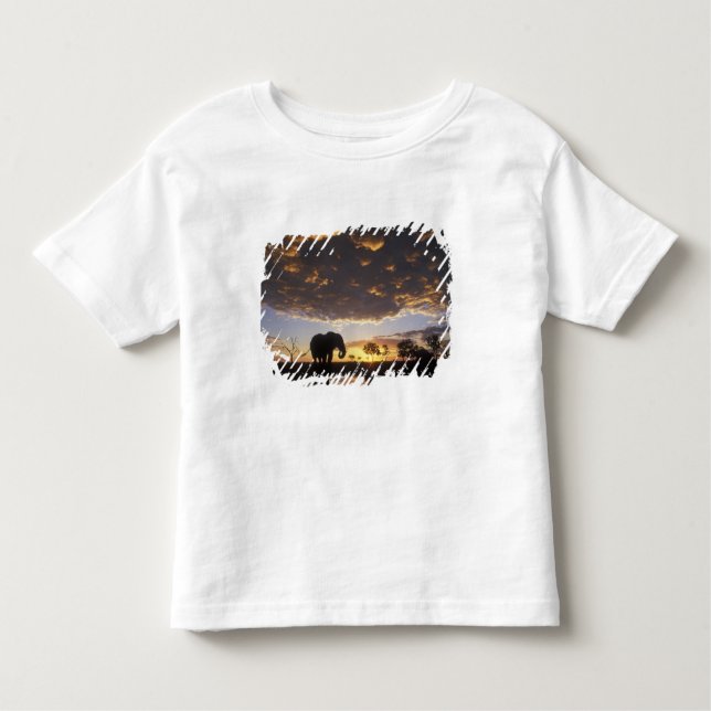 Botswana, Chobe National Park, Elephant Toddler T-Shirt (Front)
