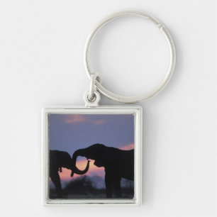 Botswana, Chobe National Park, Elephants Key Ring