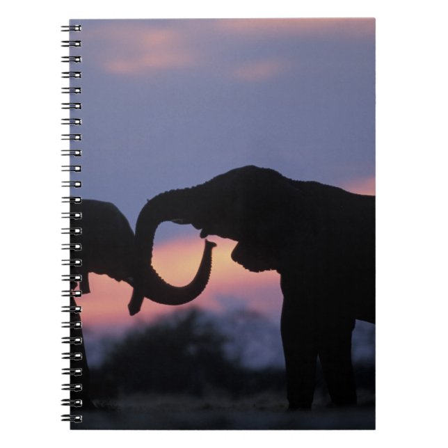 Botswana, Chobe National Park, Elephants Notebook (Front)