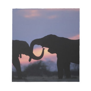 Botswana, Chobe National Park, Elephants Notepad