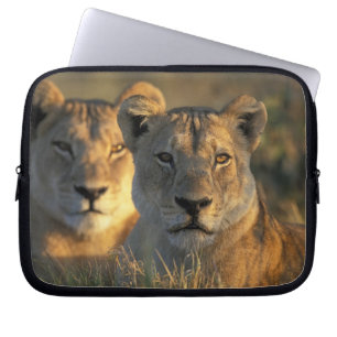 Botswana, Chobe National Park, Lionesses Laptop Sleeve