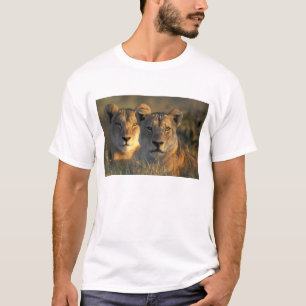 Botswana, Chobe National Park, Lionesses T-Shirt