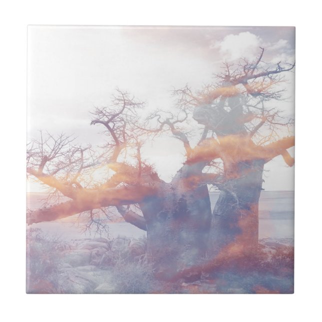 Botswana Kubu Island Baobab Tree Ceramic Tile (Front)