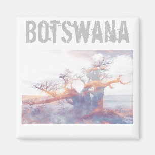 Botswana Kubu Island Baobab Tree Magnet