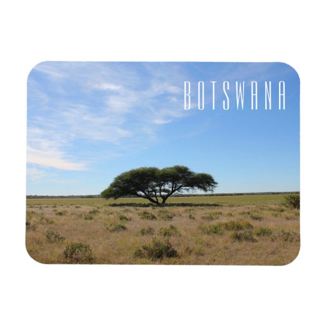 Botswana Landscape Savannah Savanna Tree Grass Magnet (Horizontal)