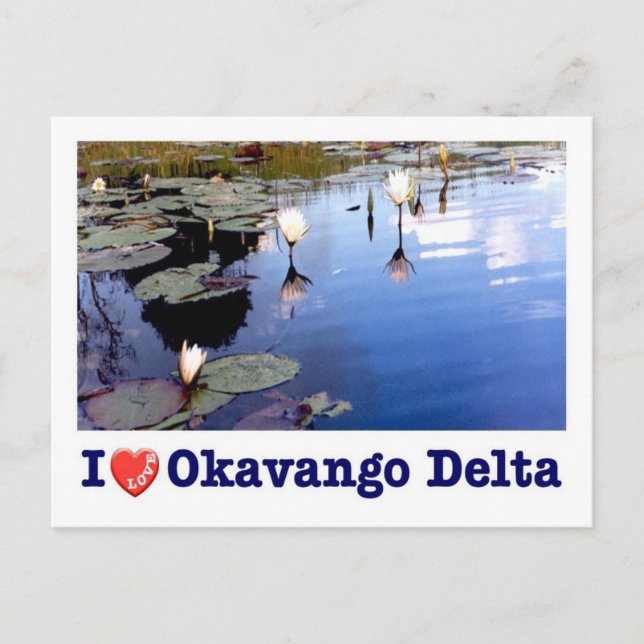 Botswana - Okavango Delta - I Love - Postcard (Front)