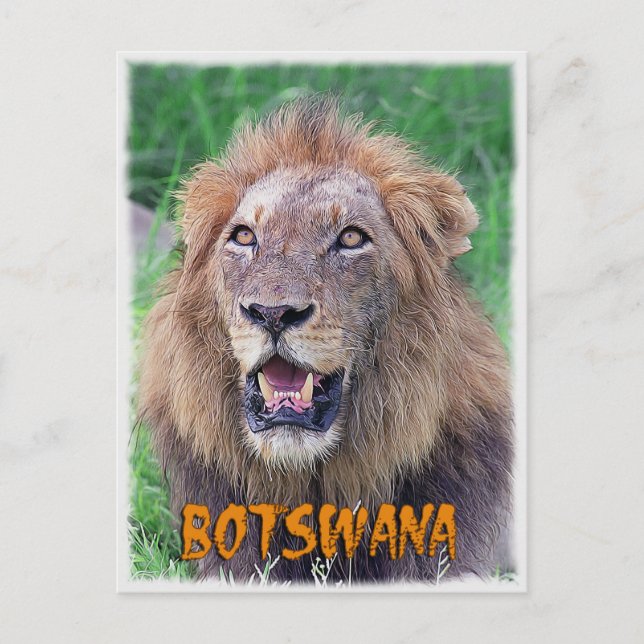 Botswana Postcard (Front)