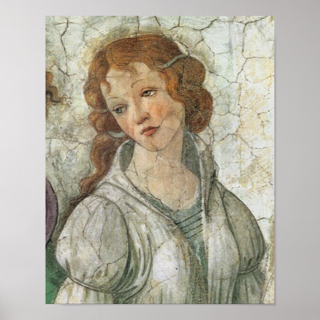 Botticelli Goddess Renaissance Fine Art Poster (Front)