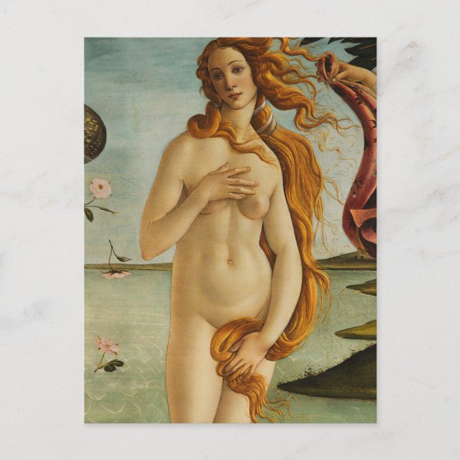 Botticelli The Birth of Venus Postcard (Front)