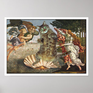 Botticelli's cat poster