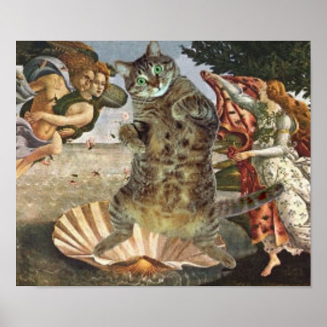 Botticelli's famous Venus is really a cat Poster (Front)