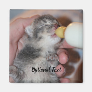 Bottle Feeding Newborn Rescue Tabby Kitten Magnet