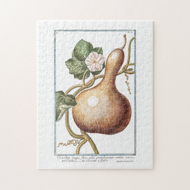 Bottle Gourd by Giorgio Bonelli Painting  Jigsaw Puzzle (Vertical)