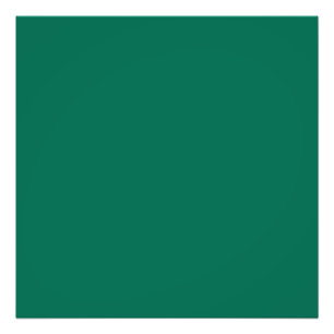 Bottle green (solid color)  photo print