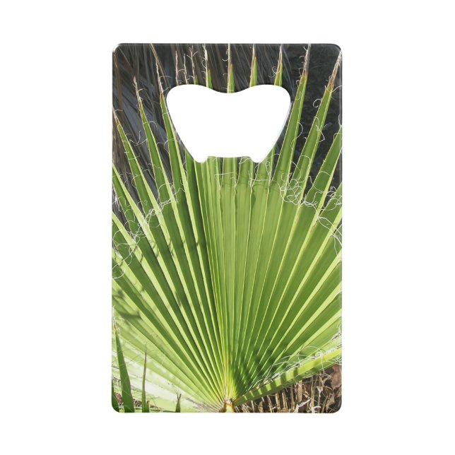Bottle Opener - Palm Frond (Front)