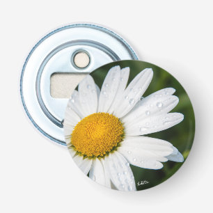 Bottle opener photo daisy