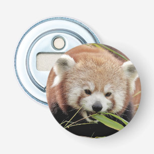 bottle opener Photo red panda , animals 0104.