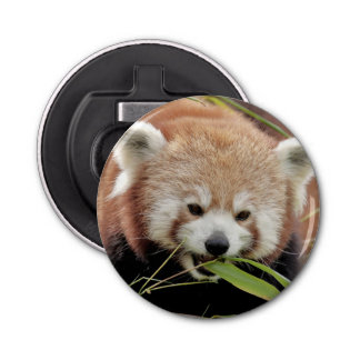 bottle opener Photo red panda , animals 0104.