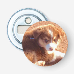 Bottle opener with photo Australian shepherd puppy