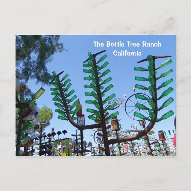 Bottle Tree Ranch Postcard! Postcard (Front)