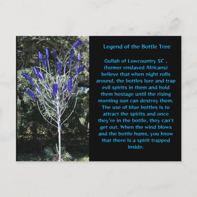 Bottle tree South Carolina Postcard (Front)