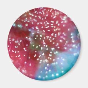 Bottlebrush Flower Abstract Magnet