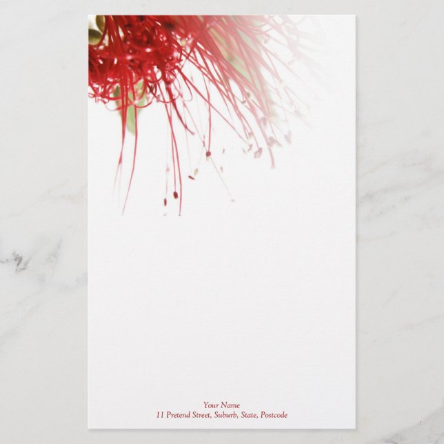 Bottlebrush Flower Stationery (Front)