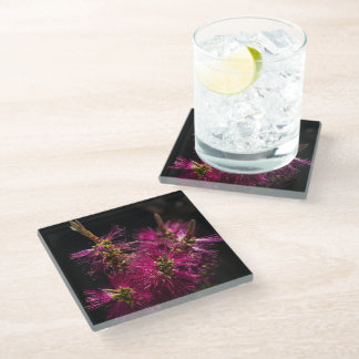 Bottlebrush Glass Coaster, Bottlebrush Coaster