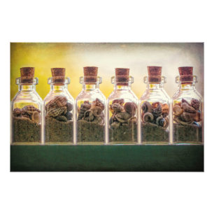Bottled Beaches Photo Print