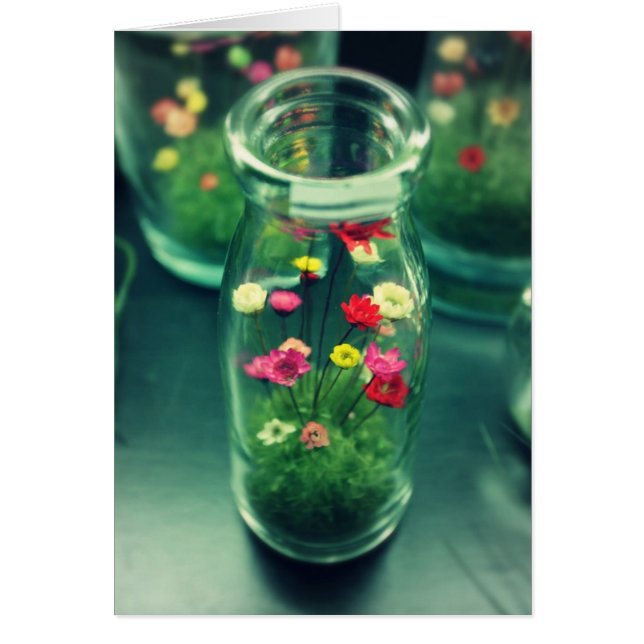 Bottled Flowers (Front)