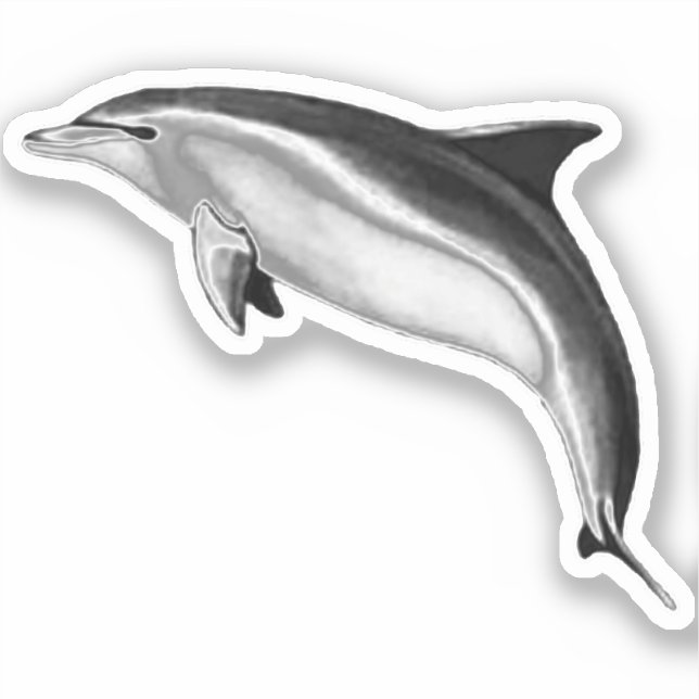 BOTTLENOSE DOLPHIN (Front)