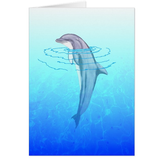 Bottlenose Dolphin (Front)