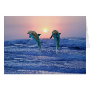 Bottlenose Dolphin at sunrise