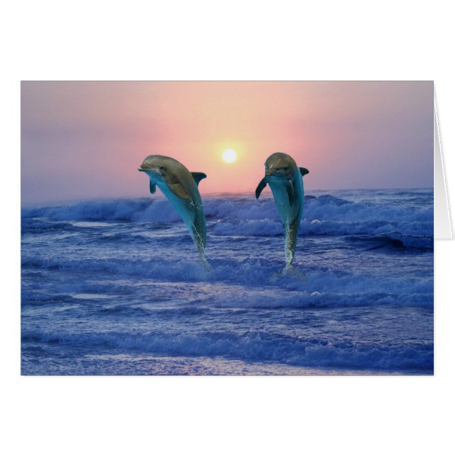 Bottlenose Dolphin at sunrise (Front Horizontal)